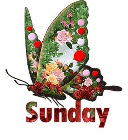 Sunday Sunday