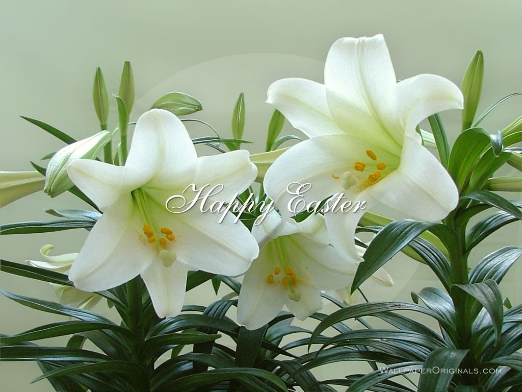 Happy Easter Happy Easter