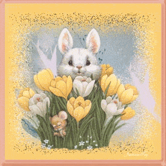 Tulips & Bunny