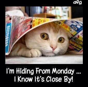 tomorrow is monday