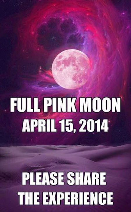 pink full moon pink full moon