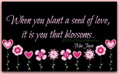 when you plant a seed of love when you plant a seed of love