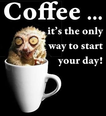 coffee coffee