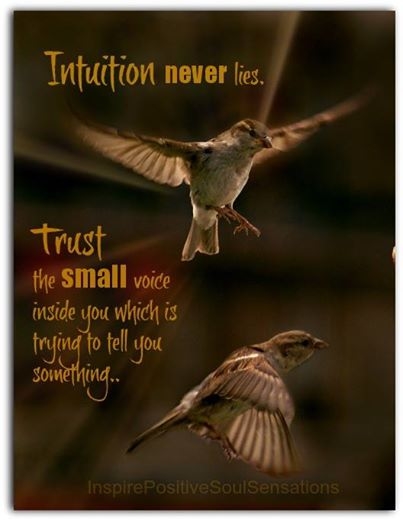 intuition never lies