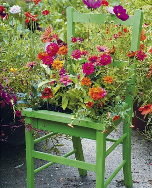 Small chair garden Small chair garden