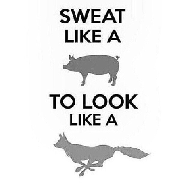Sweat like a pig to look like a fox