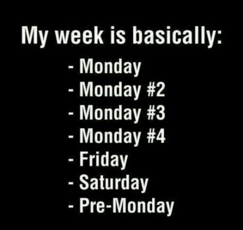 My week is basically