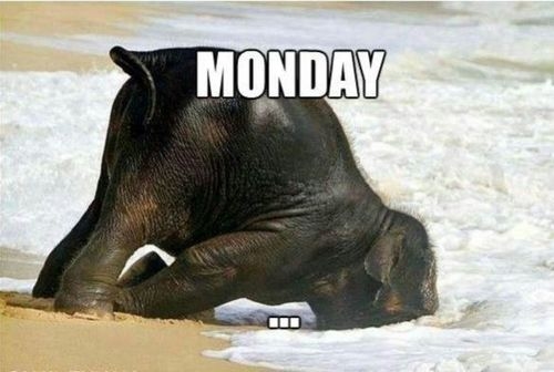 Monday Monday