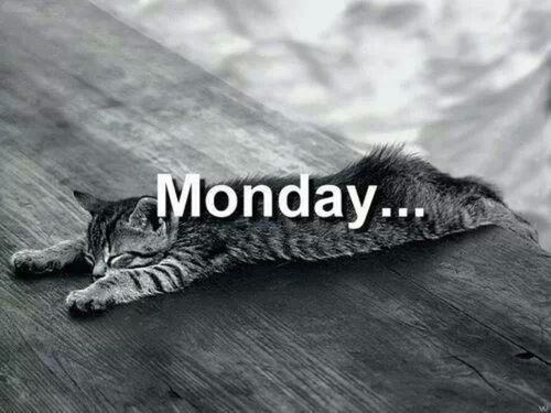 Monday Monday