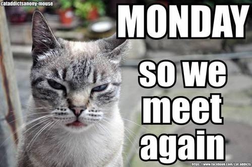 Monday so we meet again Monday so we meet again