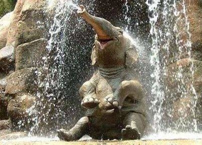SPLASH!! SPLASH!!