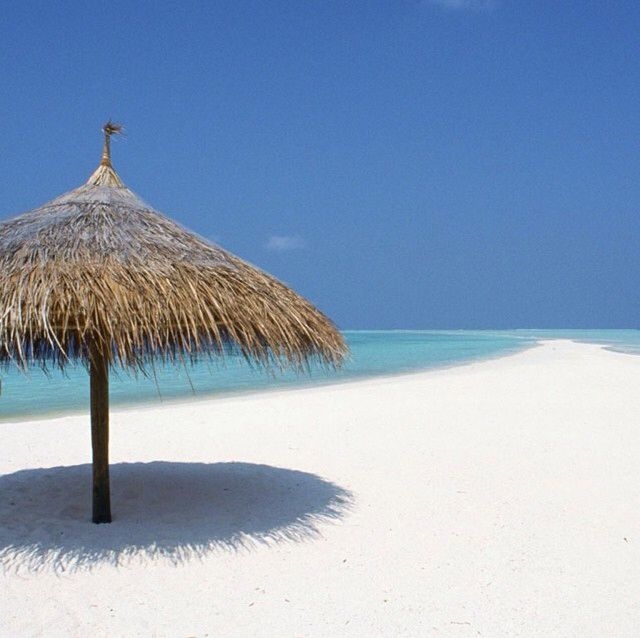 Tiki Hut
