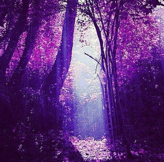 Purple World