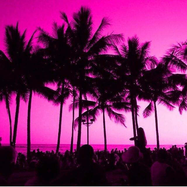 Miami Sunset