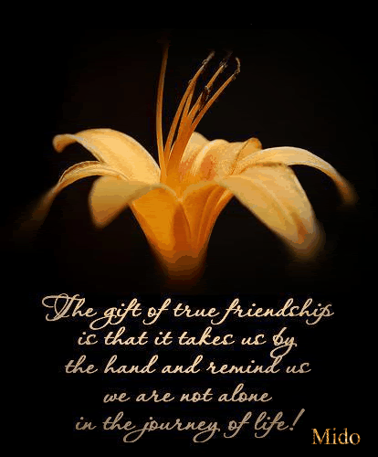 The gift of true friendship The gift of true friendship