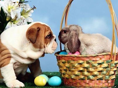 Easter Bunny and Dog