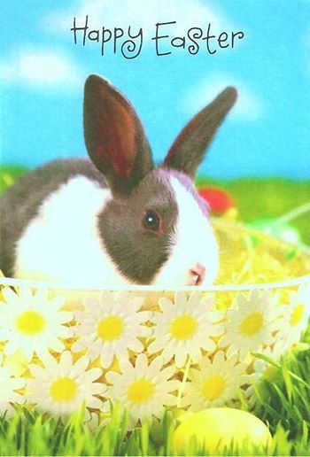 Happy Easter