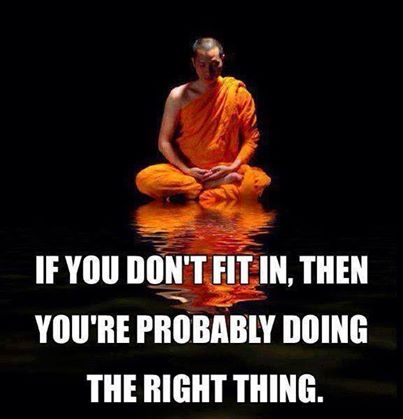 if you dont fit in