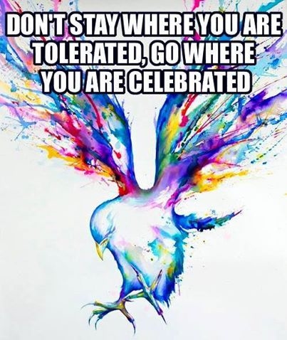 go where you are celebrated go where you are celebrated