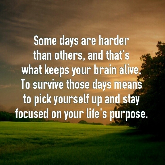Stay focused on your lifes purpose