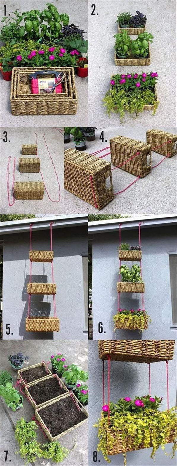 Basket bonsai Basket bonsai