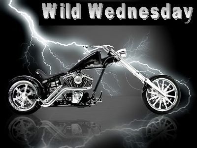 Wild Wednesday Wild Wednesday
