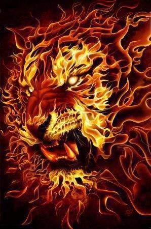 Lion Fire Static
