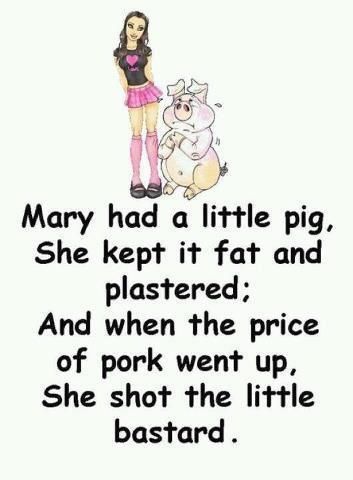 mary had little pig mary had little pig