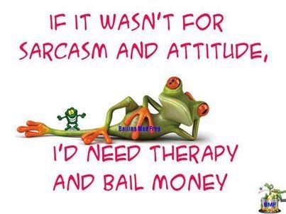 if it wasnt for sarcasm and attitude