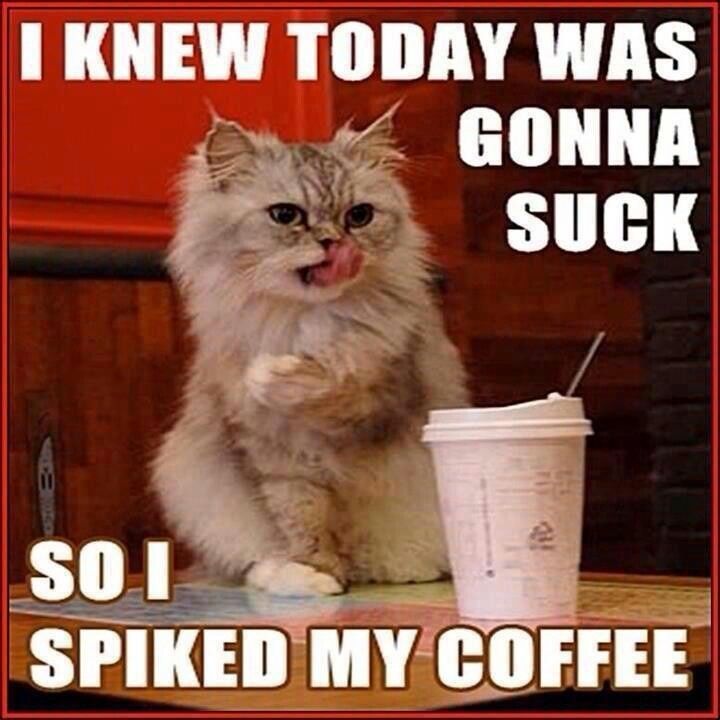 spiked my coffee spiked my coffee