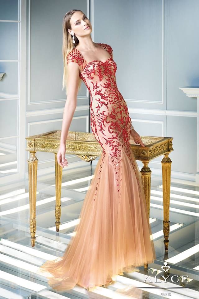 Red Lace Gown Red Lace Gown
