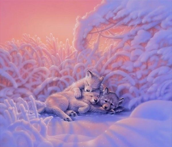 Wolf Cubs by Kirk Reinhert