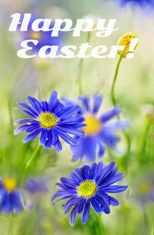Happy Easter Happy Easter