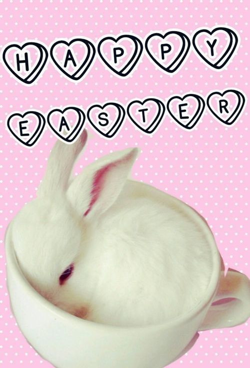 Happy Easter Happy Easter