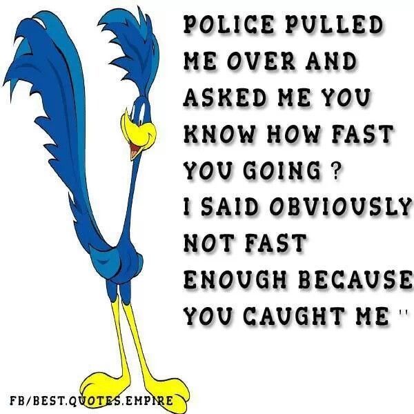 you caught me you caught me