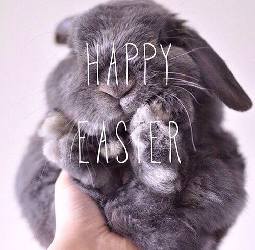 Happy Easter Happy Easter