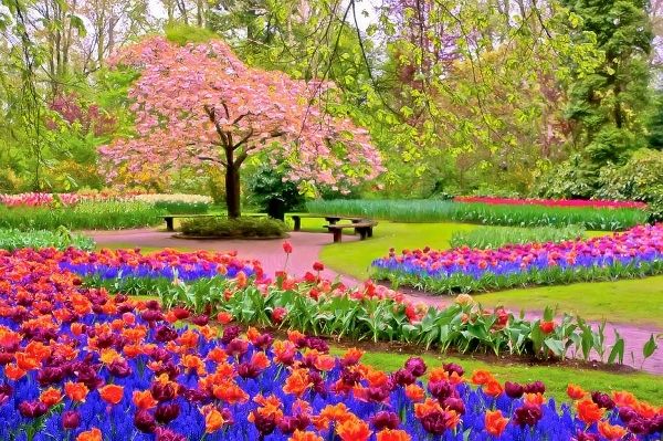 Colorful Landscaped Park Colorful Landscaped Park