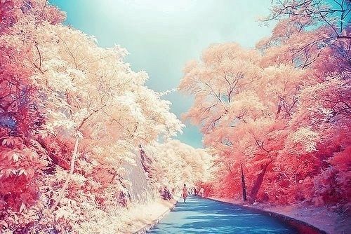 Glorious Spring Glorious Spring