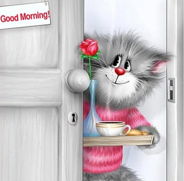 Good Morning Good Morning