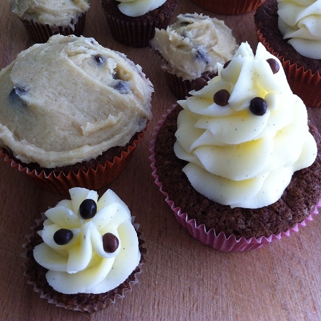 Chocolate cupcakes with vanilla and chocolate chips Chocolate cupcakes with vanilla and chocolate chips