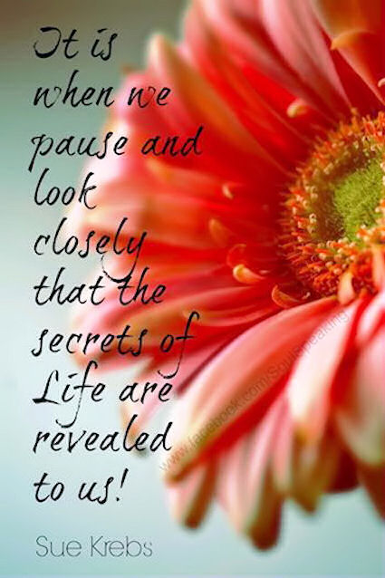 The Secrets of Life