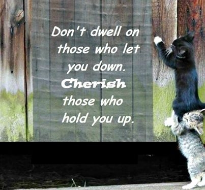 dont dwell on what went wrong dont dwell on what went wrong