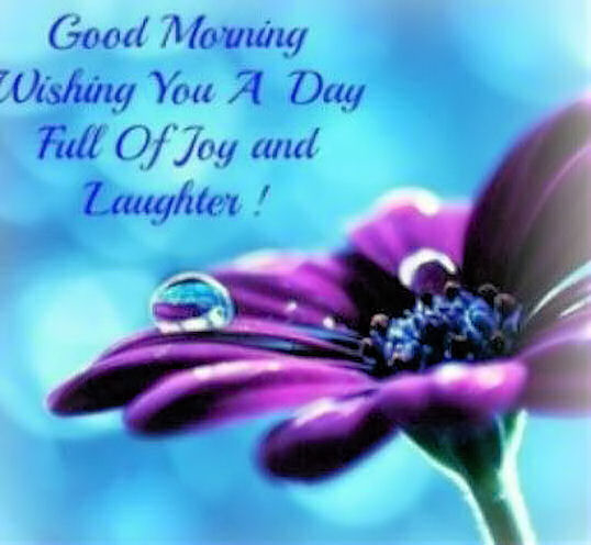 Good Morning