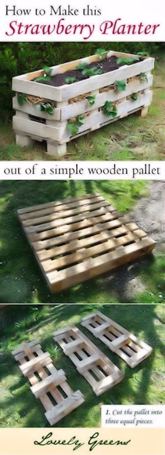 DIY Strawberry Planter