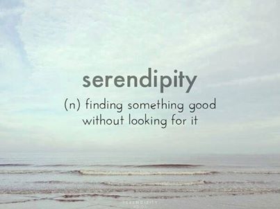 Serendipity Serendipity