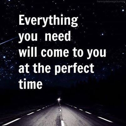 everything you need everything you need