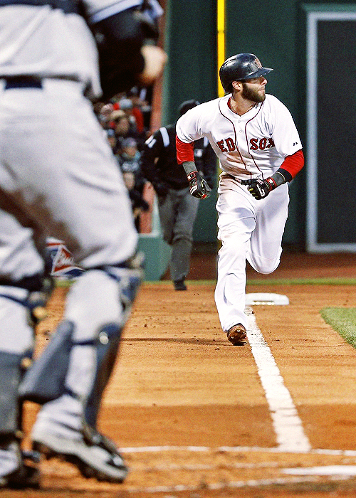 Pedroia