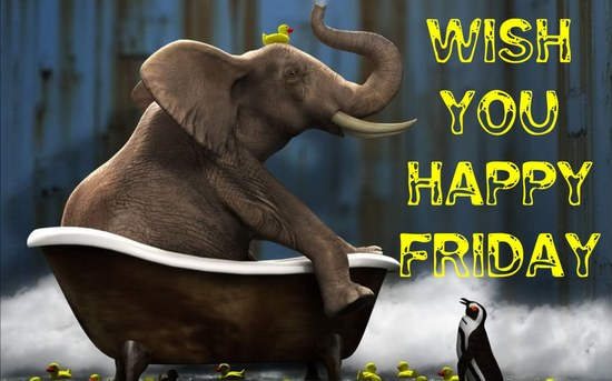 Wish you a happy friday