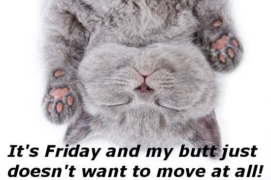 Its Friday Its Friday