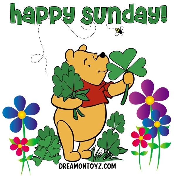 Happy Sunday Happy Sunday
